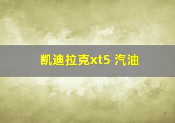 凯迪拉克xt5 汽油